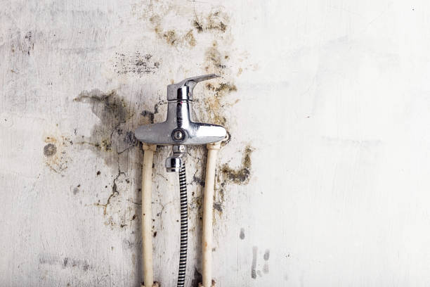 Best Office Mold Removal Services  in Malvern, AR