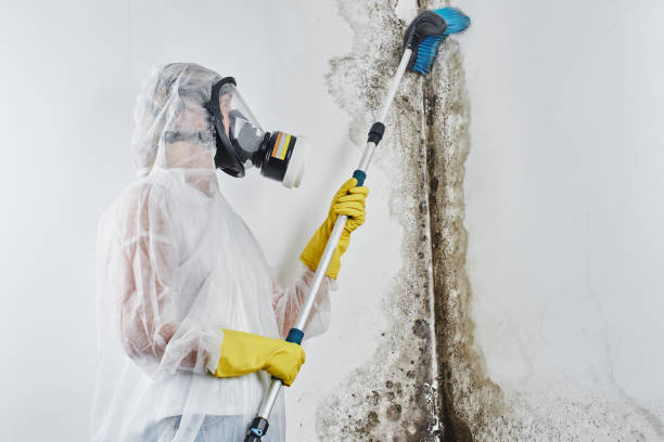 Water Damage Restoration in Malvern, AR