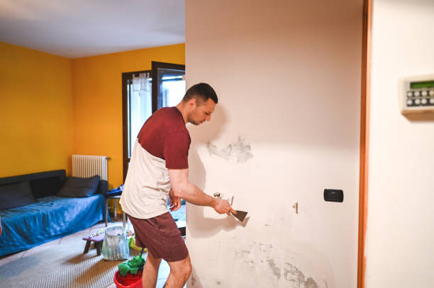 Best Home Mold Removal  in Malvern, AR